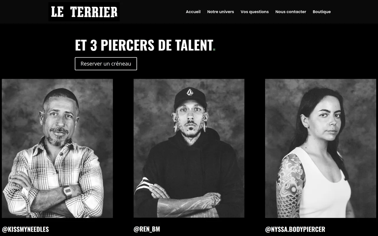 Section « Et 3 piercers de talent » de l’accueil du site du Terrier, sur ordinateur.